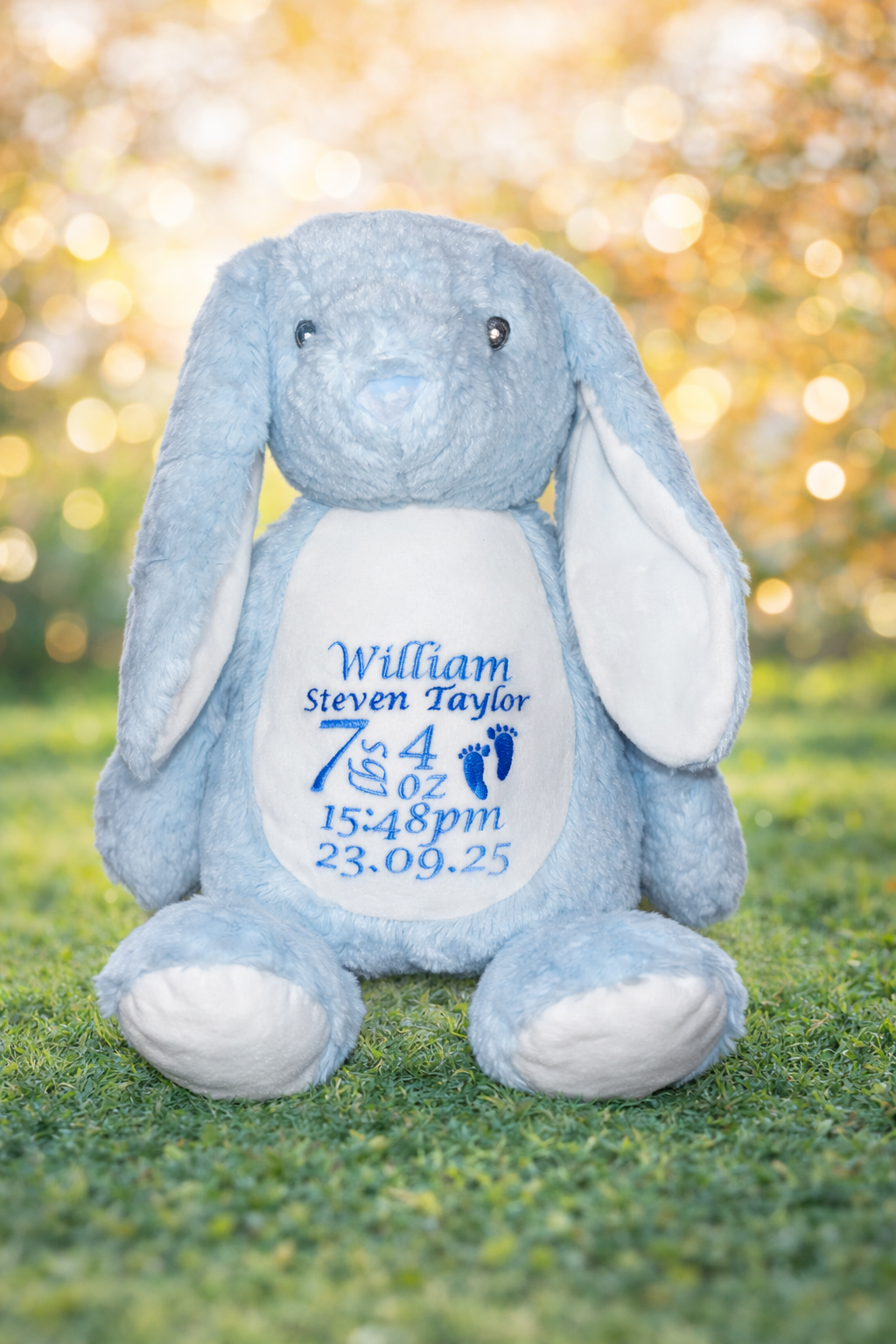 Personalised embroidered soft teddies Great Gifts